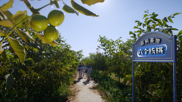 �����|jinnianhui����ᡤ(��������)��������